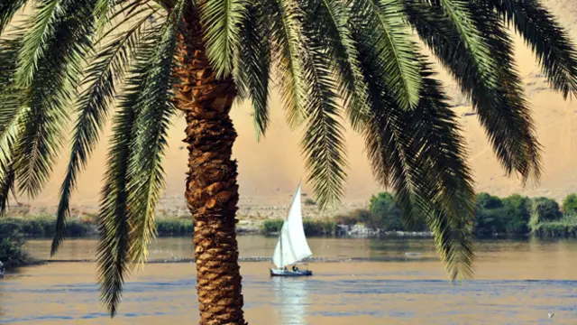 وقع الحادث في اسوان جنوبي مصر