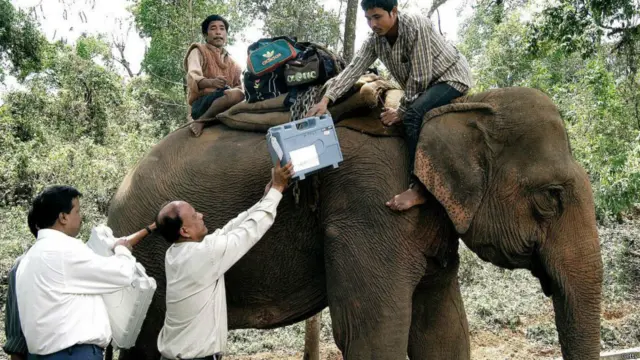 ناقابل رسائی مقامات پر ووٹنگ مشینوں کو پہنچانے کے لیے ہاتھیوں کا بھی سہارا لیا جاتا ہے۔