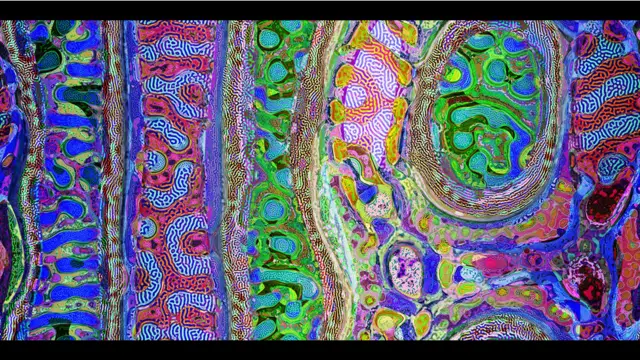 Obra de Jonathan McCabe/Flickr