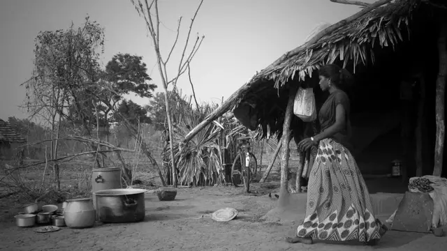 छत्तीसगढ़, आदिवासी, आंध्र प्रदेश, बेदखल, क़तार के आख़िरी