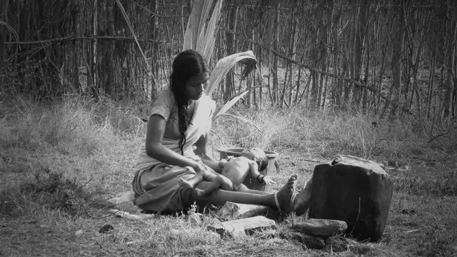 छत्तीसगढ़, आदिवासी, आंध्र प्रदेश, बेदखल, क़तार के आख़िरी