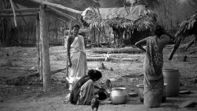 छत्तीसगढ़, आदिवासी, आंध्र प्रदेश, बेदखल, क़तार के आख़िरी