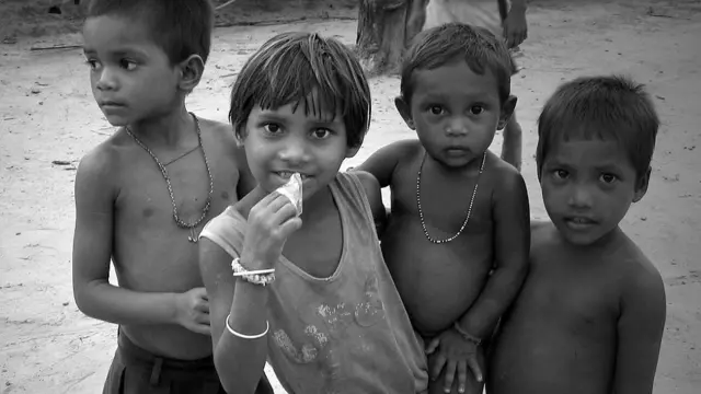 छत्तीसगढ़, आदिवासी, आंध्र प्रदेश, बेदखल, क़तार के आख़िरी