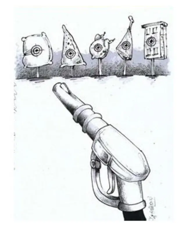 کارتون محمدرضا میرشاه ولد، قانون