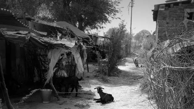 विदर्भ की विधवा, क़तार का आख़िरी