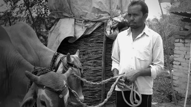 विदर्भ की विधवा, क़तार का आख़िरी