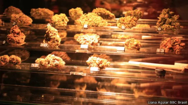 Maconha vendida no clube