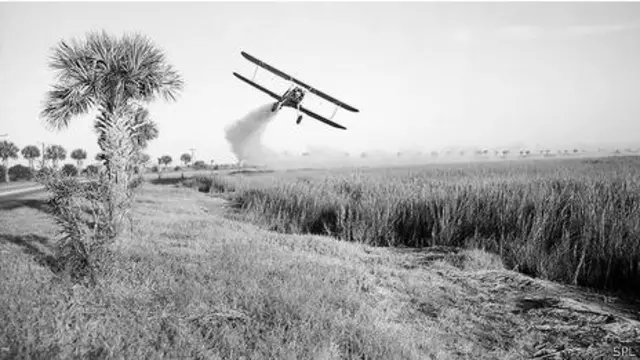 En los años 50 se intentó sin éxito fumigar con DDT para detener la propagación </br>de la malaria.