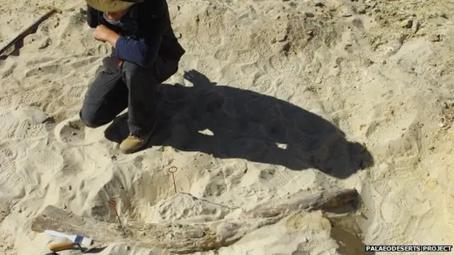 این هیئت پژوهشی یافته های خود را در کنفرانسی در دانشگاه آکسفورد ارائه می دهد