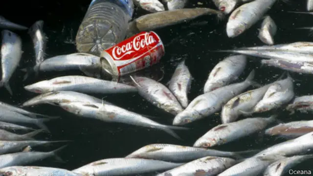Basura marina Foto: Oceana Europa