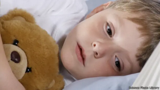 Anak dan boneka beruang, SPL