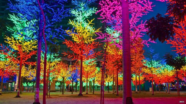 Светящиеся деревья