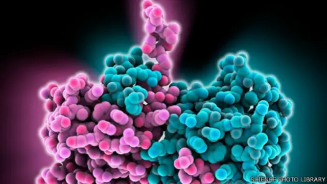 لا يوجد مصل أو علاج ناجح لمواجهة فيروس إيبولا حتى الآن. 