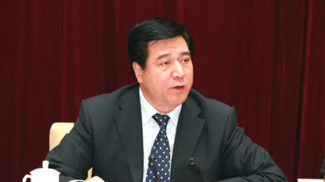 中纪委没有透露申维辰“严重违纪违法”的具体细节