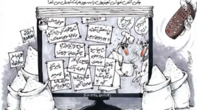 کارتون محمد رضا میرشاه ولد، قانون