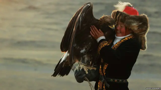 Бургутлар тутқунликда кўпайишмайди. Улар полопонлигидан боқиб олинади. Урғочи бургутлар каттароқ бўлганларидан кейин танланади. Вояга етганларининг оғирлиги 7 килограмм, қанотларининг кенглиги эса, 230 сантиметр бўлади. Овчи ўзининг йиллар хизмат қилган ва пишиб етилган бургутини сўнгги бор қўйиб юборади. Тоғда унга видолашув совғаси сифатида сўйилган қўй гўштини қолдиради. "Шу йўсин қозоқ овчилар бургутларини табиат қўйнига қайтаришади ва кўпайиш имконини беришади", дейди Свиденский.