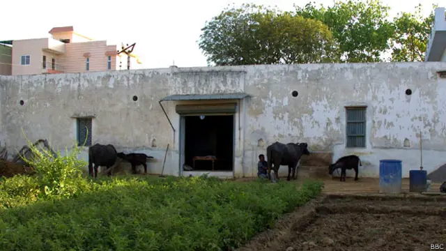 गुड़गांव बसई गांव