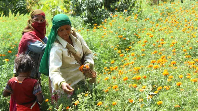 गुड़गांव चंदू गांव