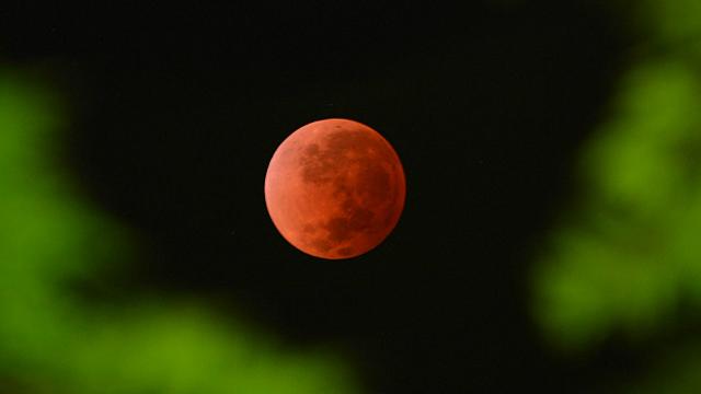 Eclipse lunar, visto desde Australia