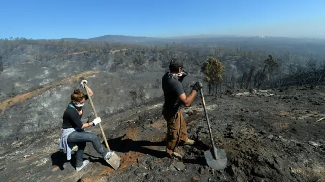 Incendio Chile