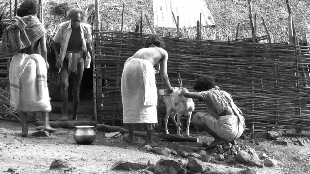 नियामगिरी ओडिशा