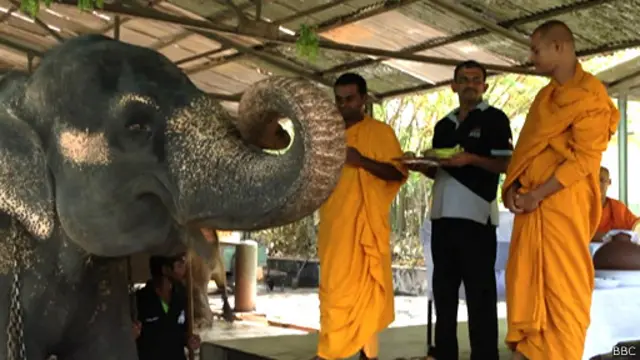 දෙහිවල අලි ඇතුන් 