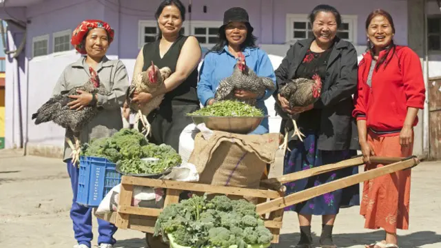 د کورنۍ یوځلي خوړو لپاره ۳۰ چرګان او ۲۲ کیلو وریجې پخېږي.