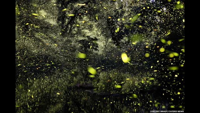 लेक ऑफ़ दी ओज़ार्क्स, मिसूरी, अमरीका