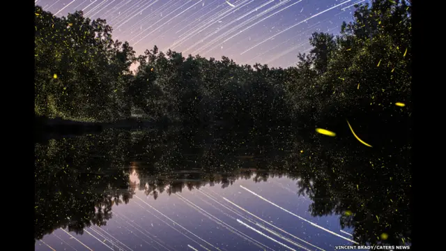 ग्रांड लेज़, मिशिगन, अमरीका