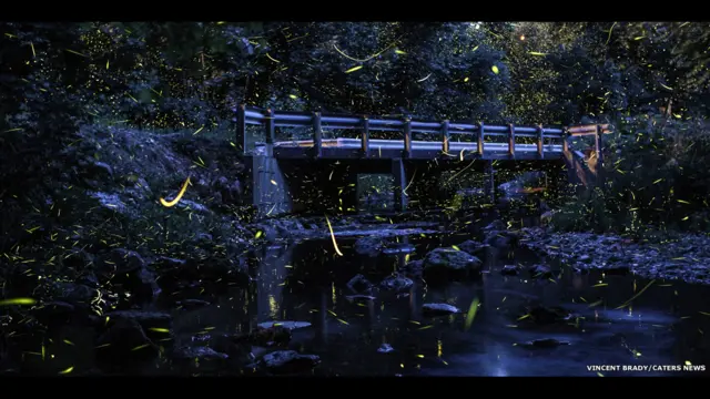 लेक ऑफ़ दी ओज़ार्क्स, मिसूरी, अमरीका