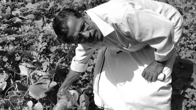 केरल सेविंग अकाउंट्स