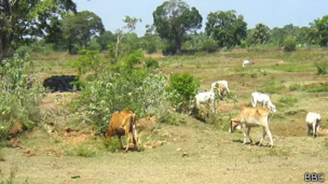 වෙල්ලමනල් ප්‍රදේශයේ ජනතාව පරිහරණය කළ ඉඩම්