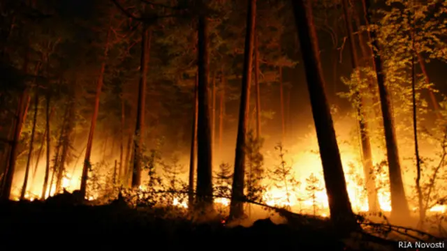 Лесные пожары в России