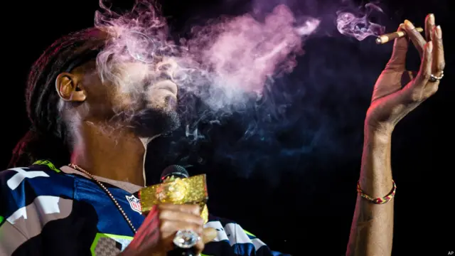 सिएटल में स्नूप डॉग का शो