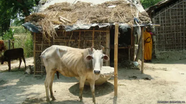 मुरहो गांव का मुसहर टोला