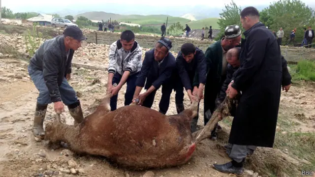 Корова, поги бшая под селем 