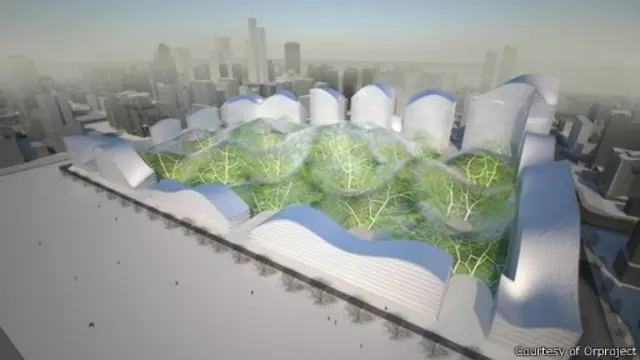 Projeto Bolhas (Orproject)