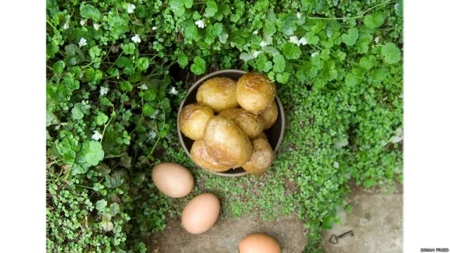 بھنے ہوئے آلو اور انڈوں کو فرانسس ہوگسن برنٹس کو دی سیکرٹ گارڈن میں متاثر کیا۔