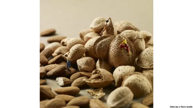 Fotos de Akiko Ida y Pierre Javelle