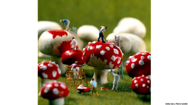 Fotos de Akiko Ida y Pierre Javelle