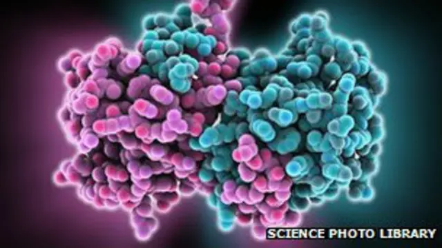 الإصابة بالفيروس تودي بحياة نحو 90 في المئة من المصابين به.