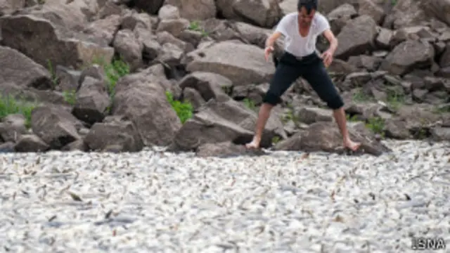 گفته شده که شدت آلودگی به حدی است که دیگر امکان استفاده از این محدوده برای پرورش ماهی وجود ندارد