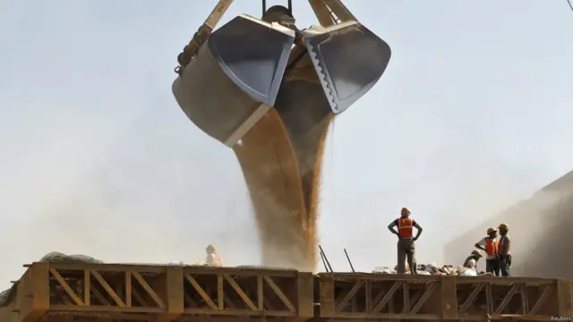 गेहूं की फसल