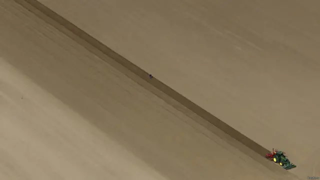 गेहूं की फसल