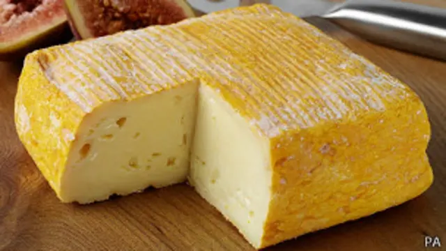 Queso francés Viex-Boulogne