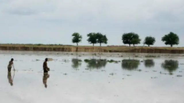 چارواکي وايي سيلاو د شپې داسې مهال راوتلی چې خلک ويده وو