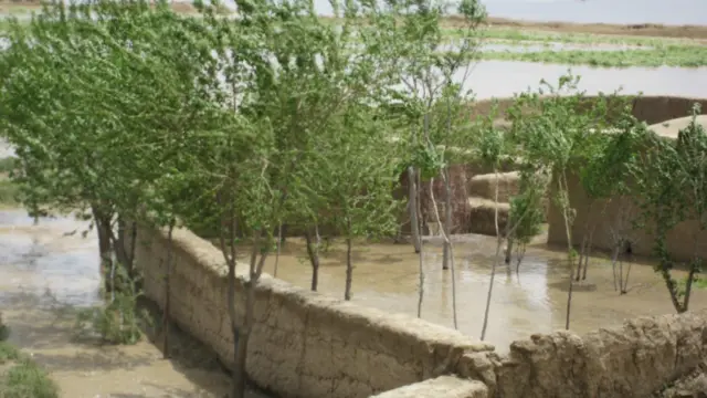 سيلاوونو د ځاني زيانونو ترڅنګ خلکو ته مالي زيانونه هم اړولي دي.