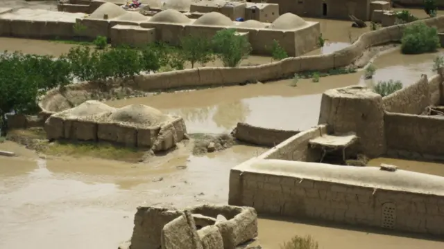 چارواکي وايي دوی ته د لسګونه کسانو د وژل کېدو او ژوبلېدو راپورونه ور رسېدلي دي. 