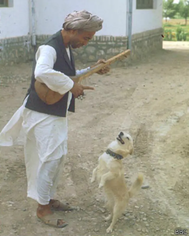 بنگیچه تاشقرغانی، که به جرم نوازندگی به قتل رسید