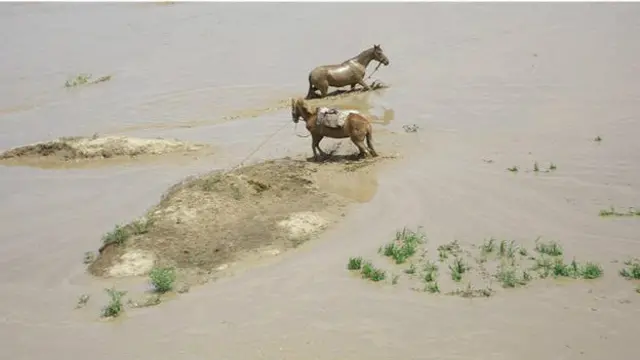 अफ़ग़ानिस्तान में बाढ़, दो घोड़े